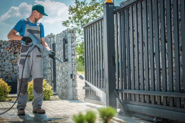 Best Gutter Cleaning  in Grand Rapids, MI