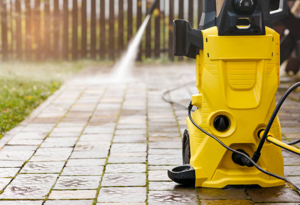 Animal Enclosure Cleaning in Grand Rapids, MI